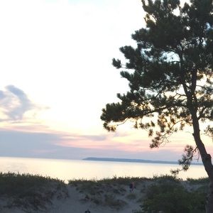 Meet your Posher, Carol